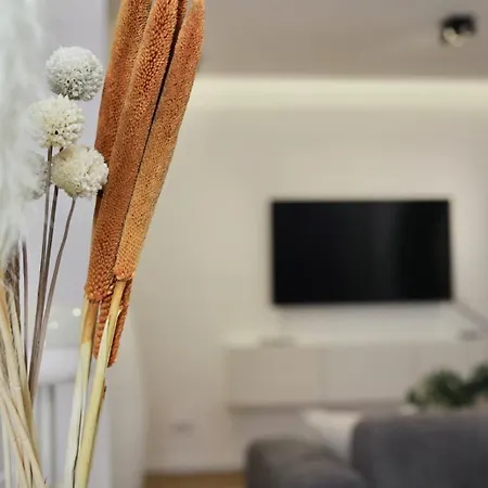 Cosy Et Lumineux *